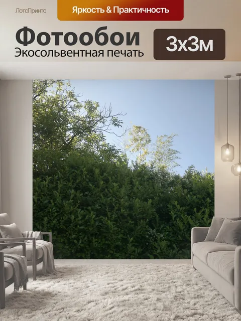 Фотообои Бамбук и растительность