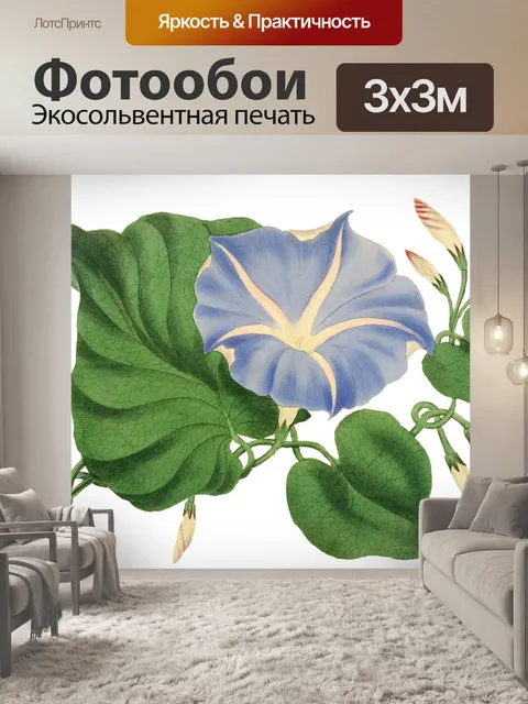 Фотообои Цветок