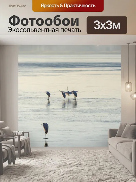 Фотообои Лед