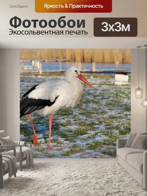 Фотообои Природа