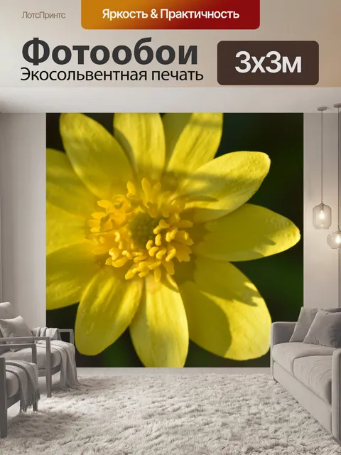 Фотообои Цветы