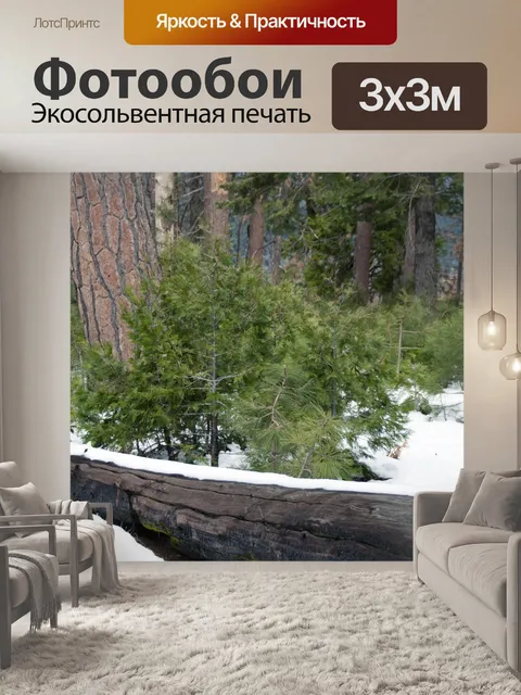 Фотообои Детские деревья в снегу