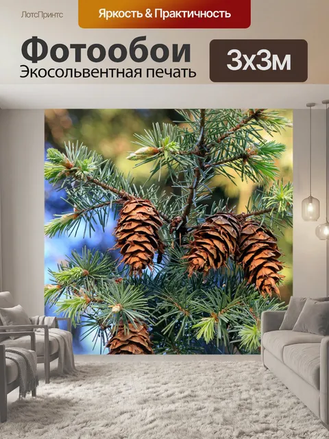 Фотообои Молодые конусы на дереве