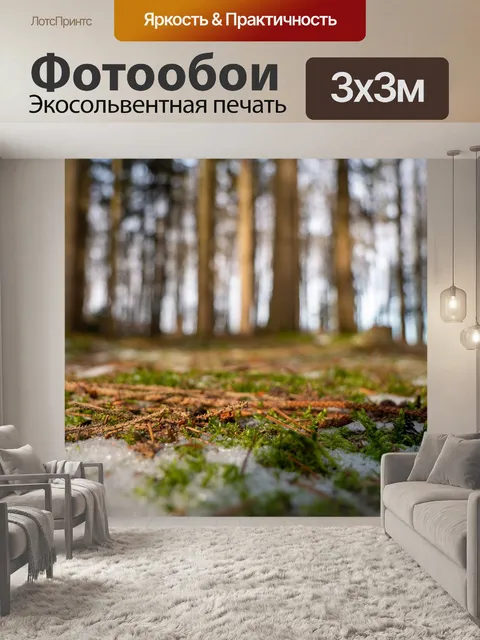 Фотообои Лес