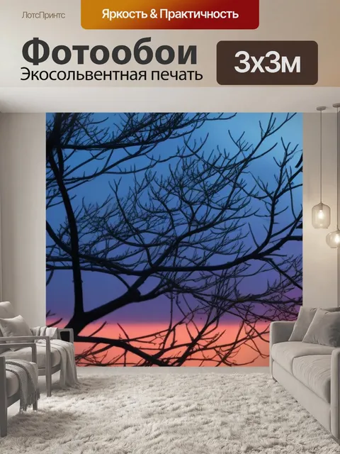 Фотообои утренние птицы на ветках деревьев при рассвете