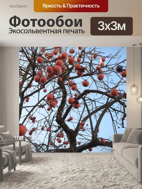 Фотообои Хурма