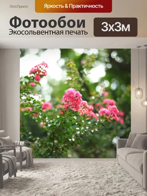 Фотообои Цветы