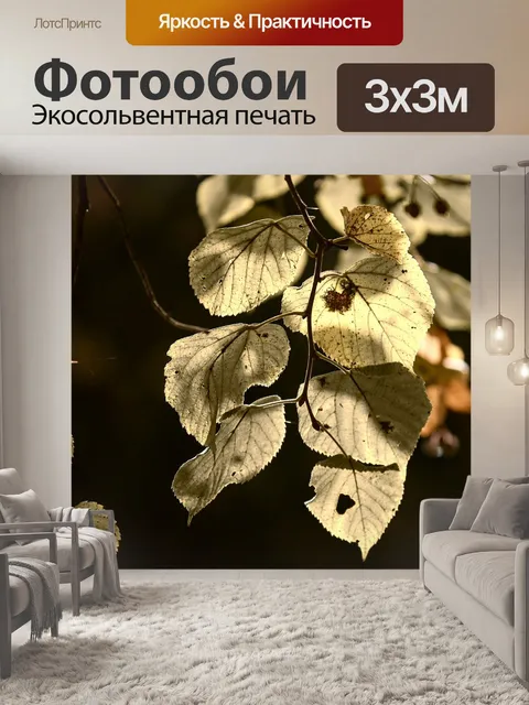 Фотообои Листья