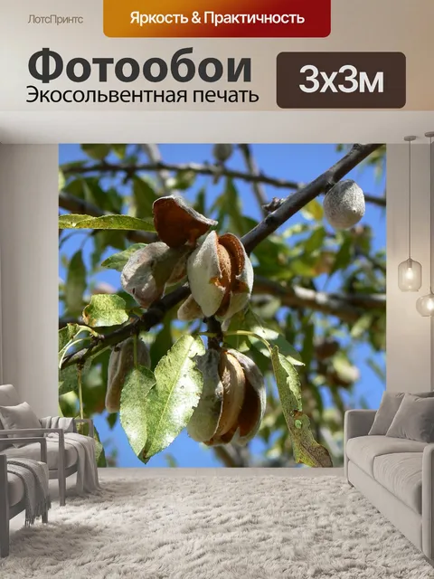 Фотообои Дерево