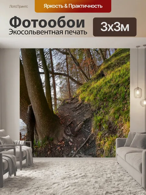 Фотообои Лес