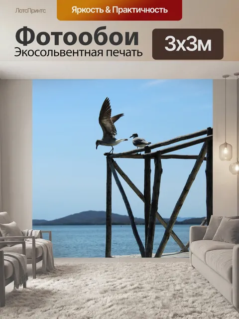 Фотообои Птица