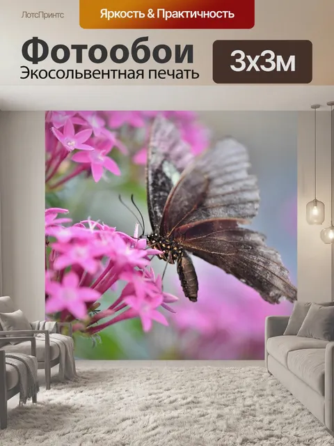 Фотообои Бабочка
