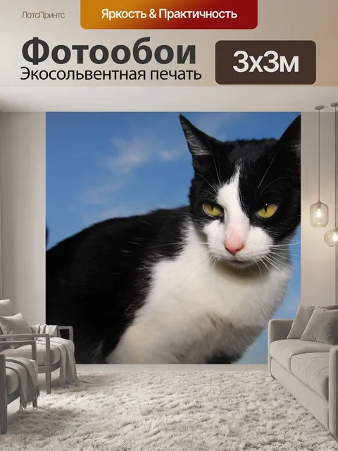 Фотообои Кошка