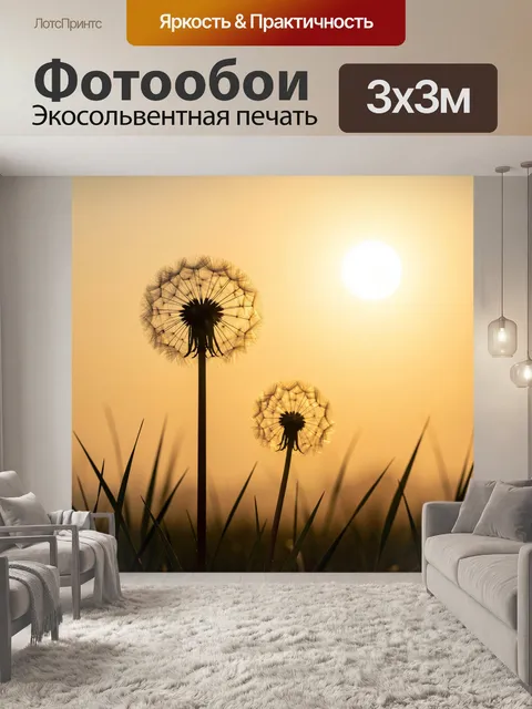 Фотообои Пуховые шары на закате