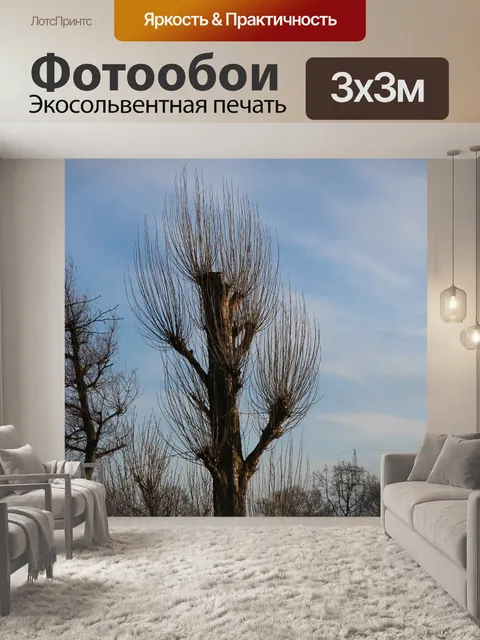 Фотообои Деревья