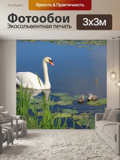 Фотообои Птица