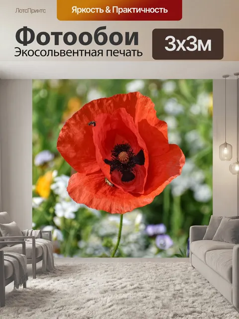 Фотообои Цветы