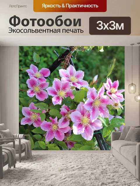 Фотообои Розовый