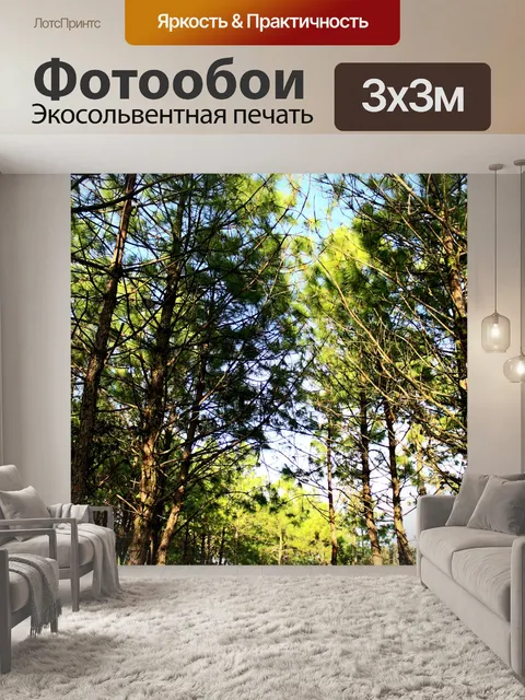 Фотообои Природа соснового леса в Фу Руа