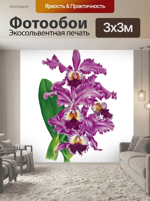 Фотообои Цветочный цветок старинное искусство