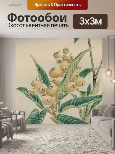 Фотообои дикорастущих растений