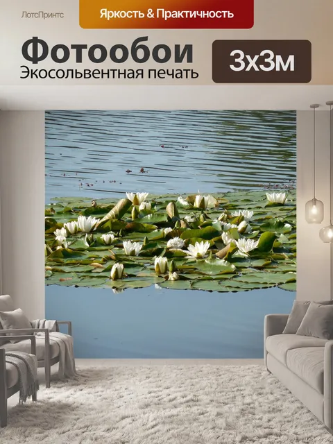Фотообои Водяная лилия