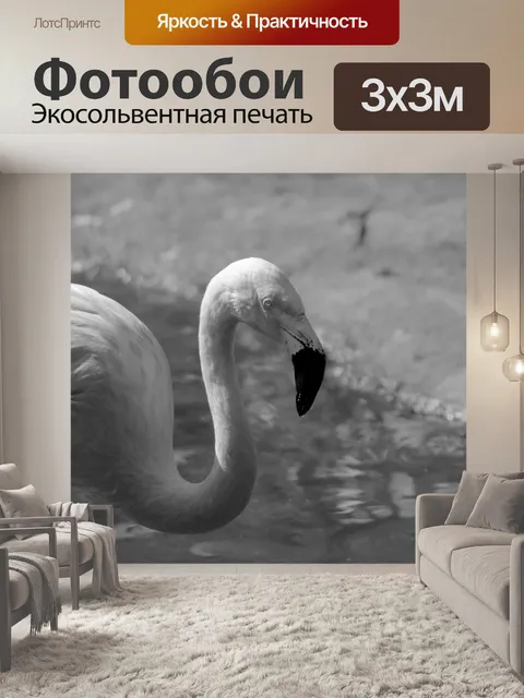 Фотообои Фламинго