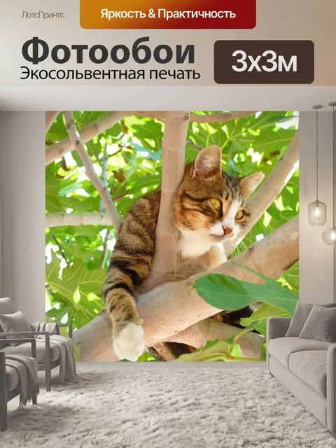Фотообои Кот