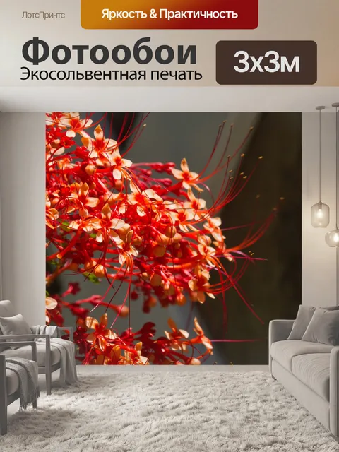 Фотообои Коста-рика