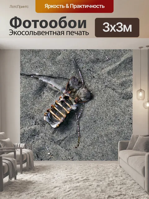 Фотообои раковина омаров