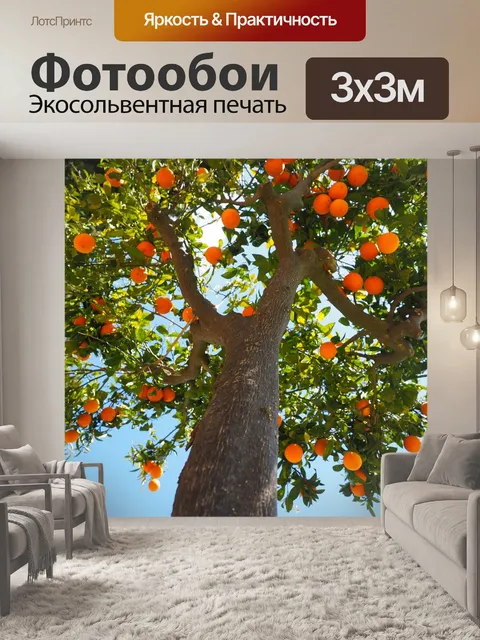 Фотообои Апельсины