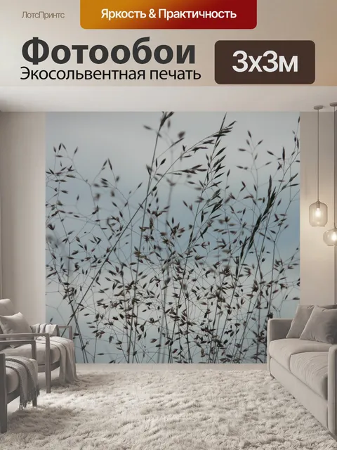 Фотообои Метельчатая трава