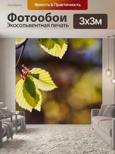 Фотообои Листья