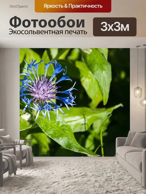 Фотообои Блоссом