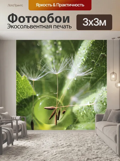 Фотообои Одуванчик