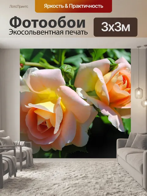 Фотообои Розы