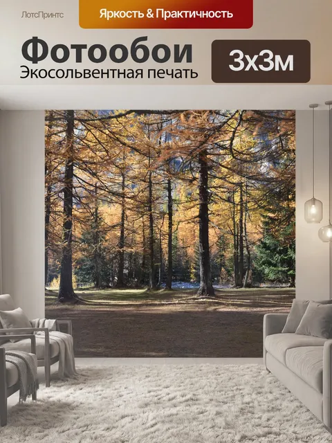 Фотообои Лес