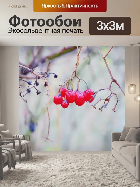 Фотообои Природа