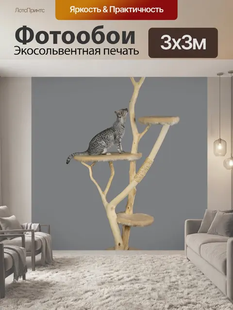Фотообои Кошка мебель