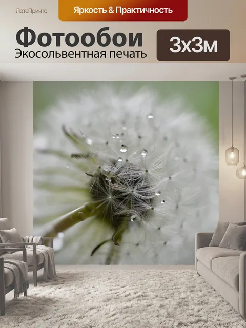 Фотообои Одуванчик