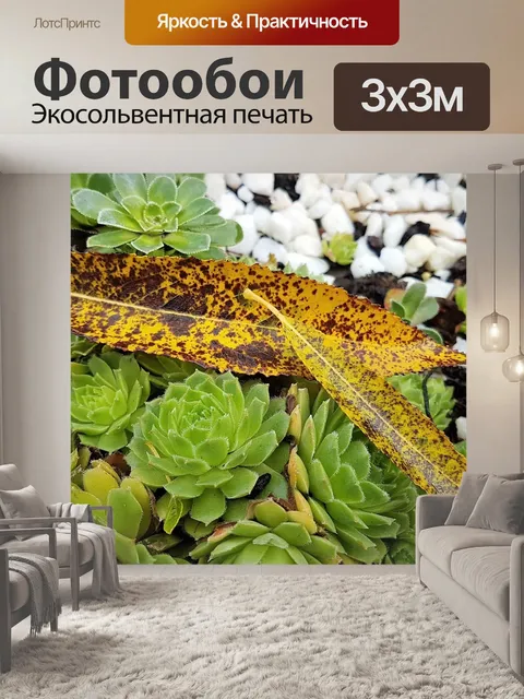 Фотообои Листья