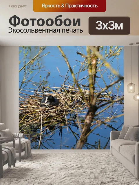 Фотообои Природа