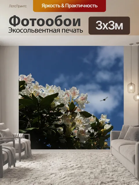 Фотообои Рододендрон