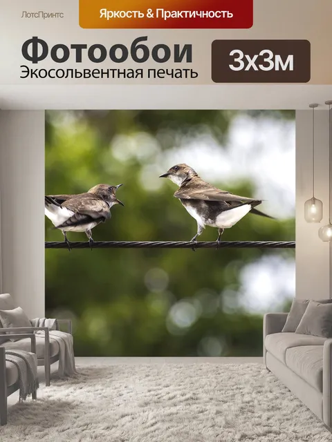 Фотообои Птицы