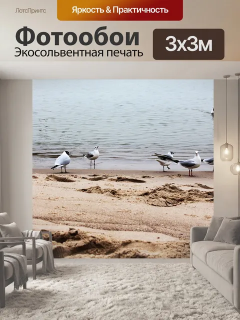 Фотообои Чайки