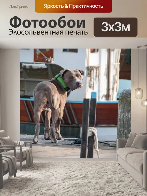 Фотообои Собака