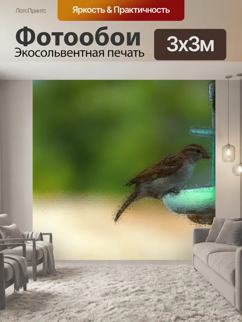 Фотообои воробей у кормушки