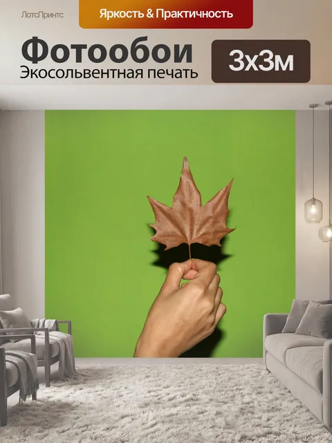 Фотообои Осенний лист