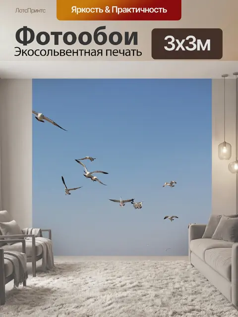 Фотообои Морская птица