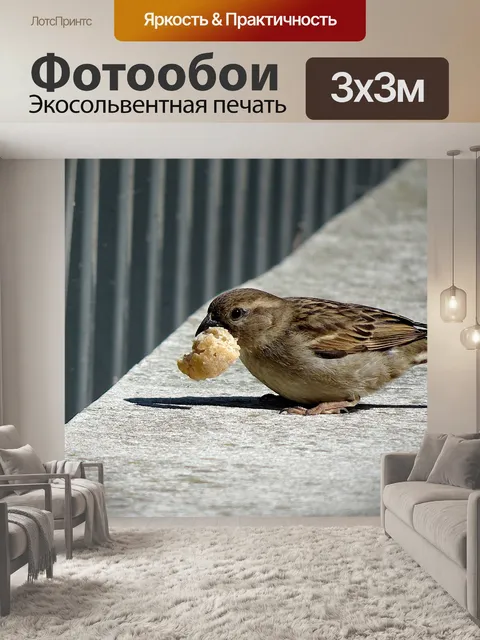 Фотообои Воробей